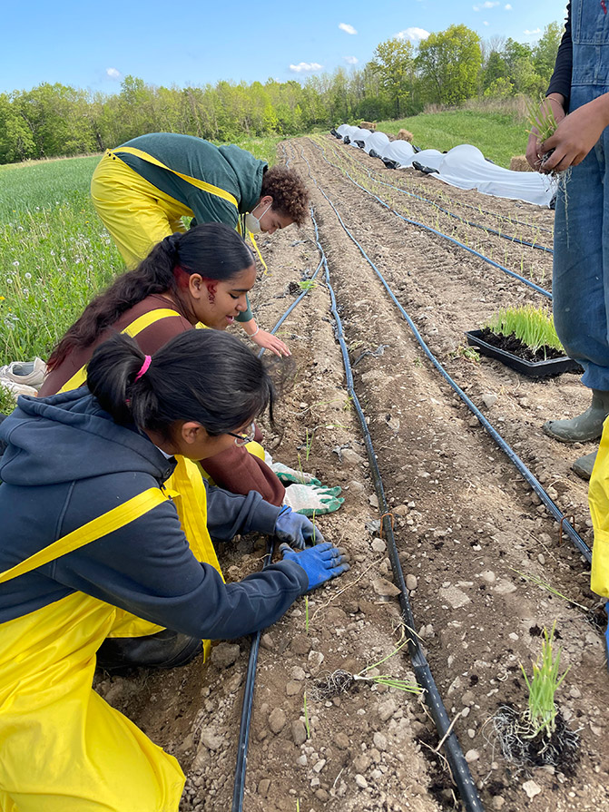 SJI_planting_coveralls